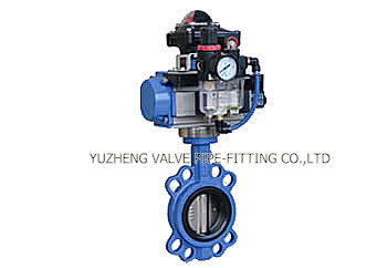 Stainless Steel Quick Coupling and Clamped Butterfly Valves