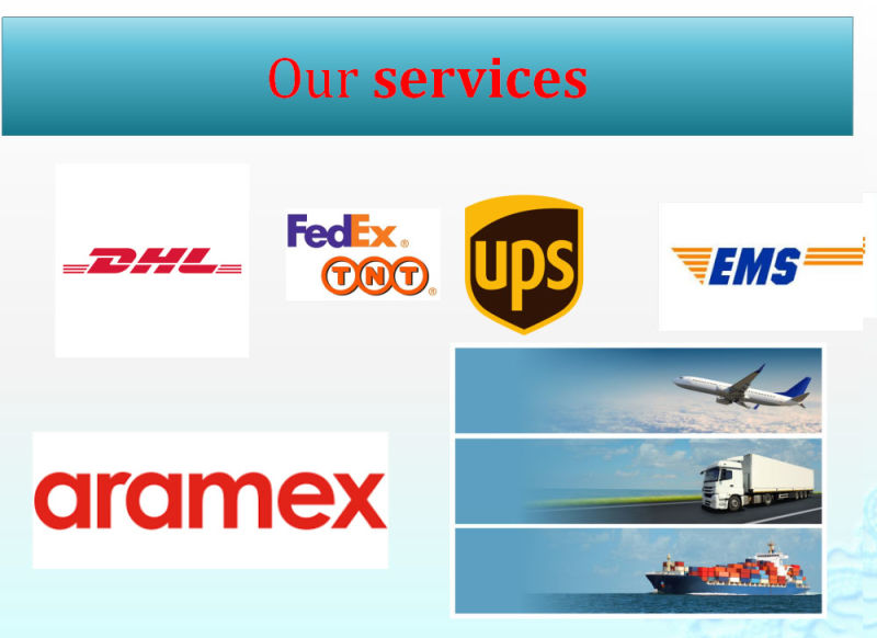 Shipping Agent DHL Express Service From China to The UK