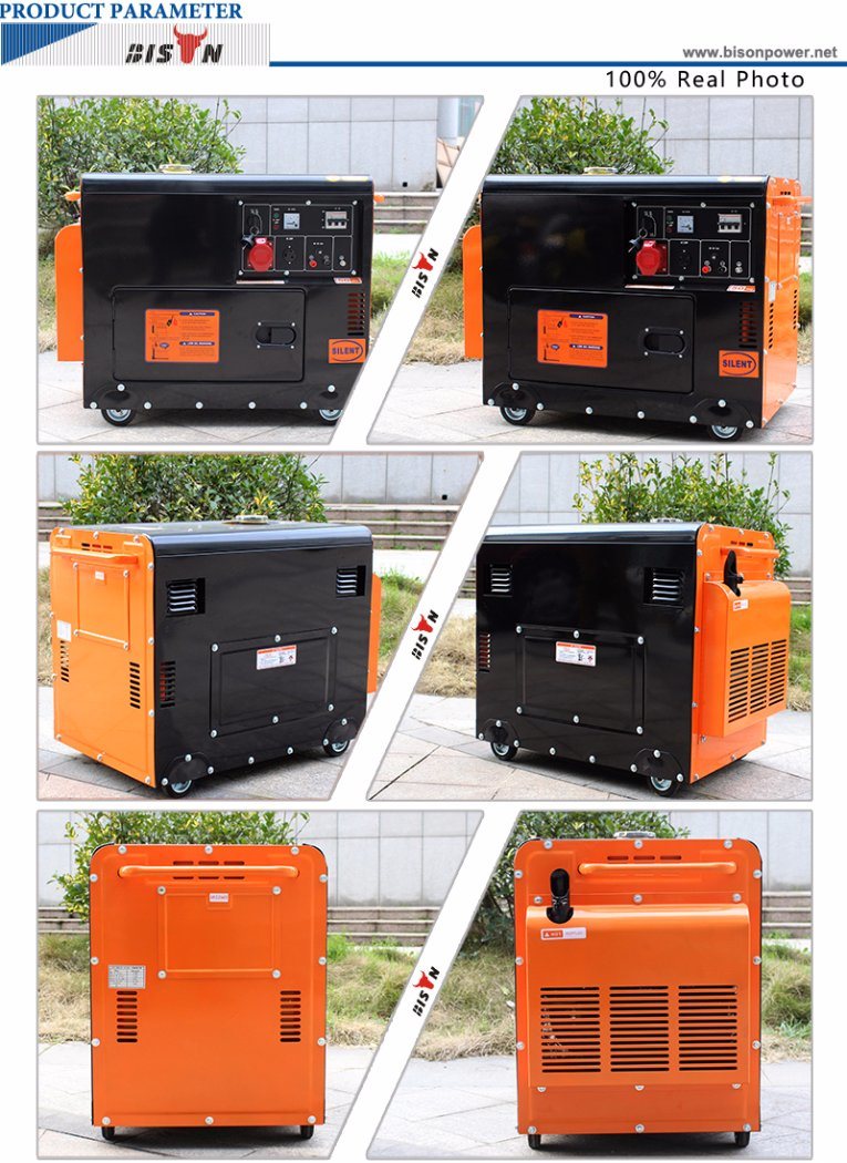 Bison (China) BS6500dse 5kw 5kv OEM Factory Copper Wire Factory Price Home Use Silent Type Diesel Generator