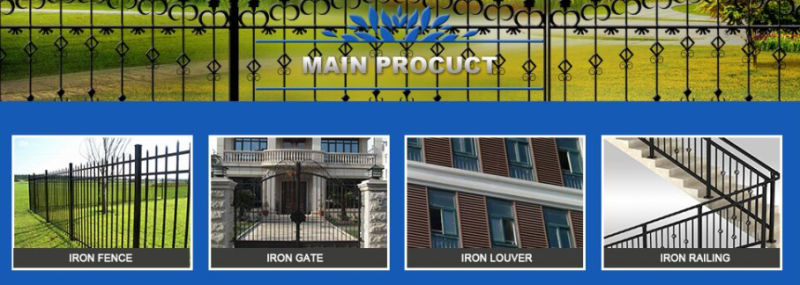 Wrought Iron Gate / House Safety Wrought Iron Gate From China