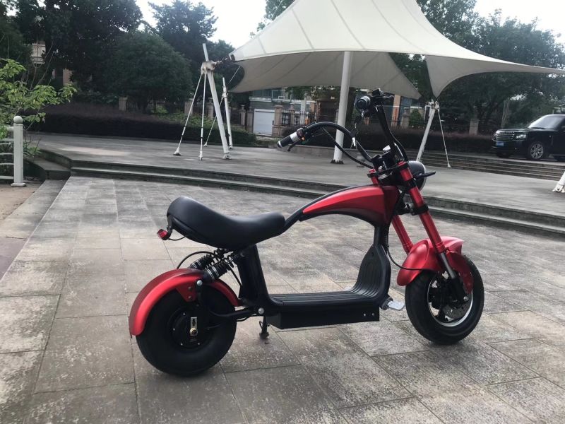 New Style Electric Scooter Ce Certificate Electric Long Range Scooter Brushless Electric Scooter