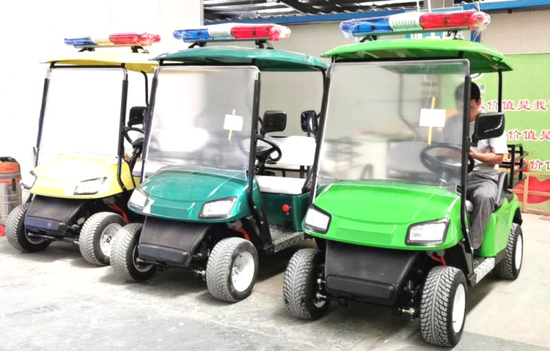 Al-Gc Golf Carts Electric Golf Carts Single Seat Electric Golf Cart Prices