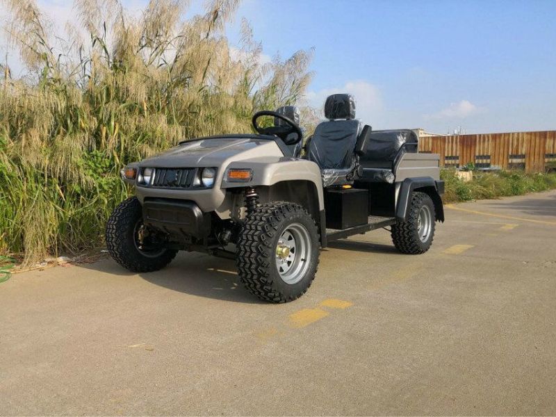 Customized Color and Logo off Road Vehicle Utility Car on Sale