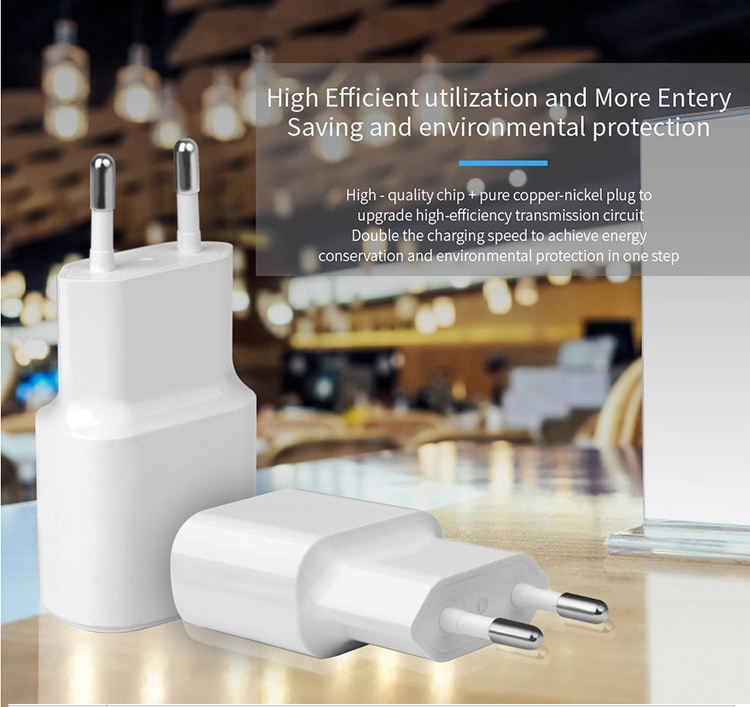 Smart IC Mobile Phone Dual USB Charger