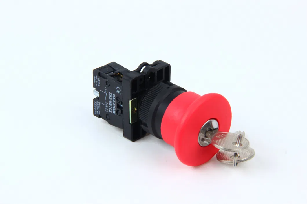 Push Button Switch 220V 12V 20 AMP