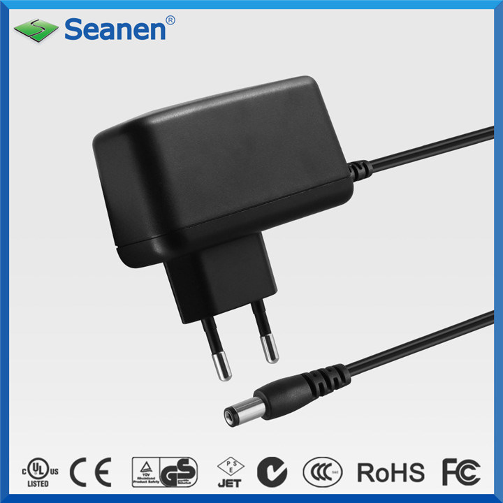 12V 1A DC Full-Bridge Type GS AC Switching Power Adapter