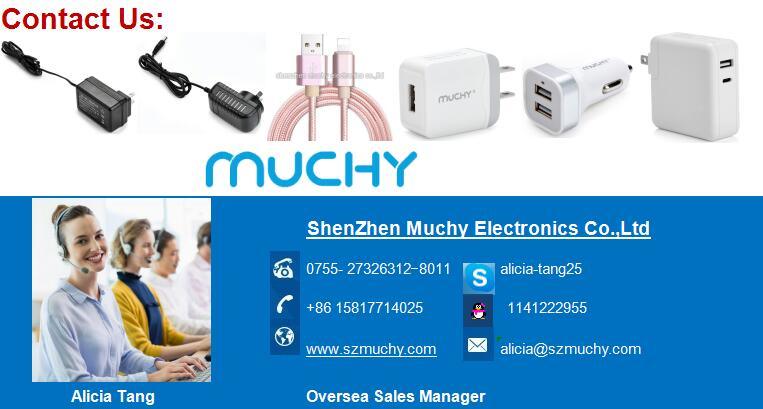 12V 500mA 6W Switching Power Supply AC Power Adapter