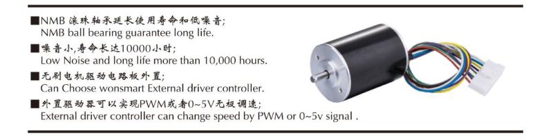 24 Volt High Speed Electrical DC Motor Small Electric DC Motor