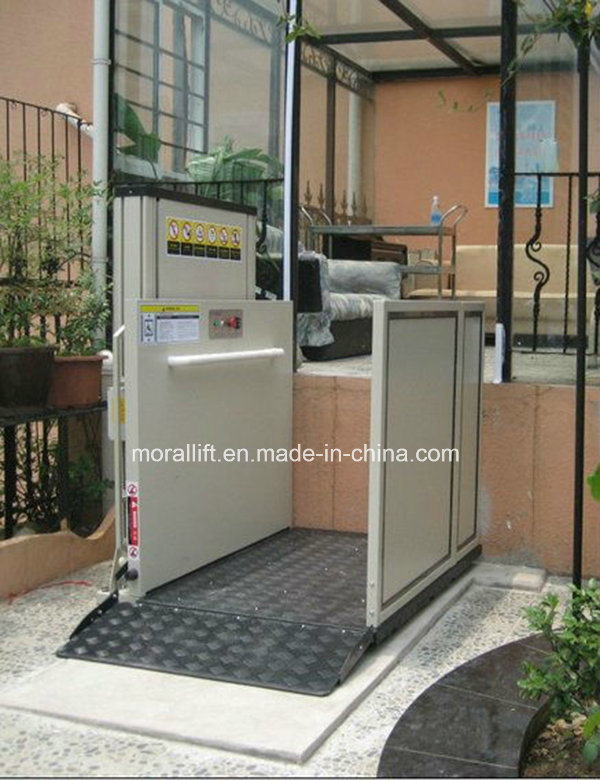 Hot Sale Handicapped Disabled Lift for Home