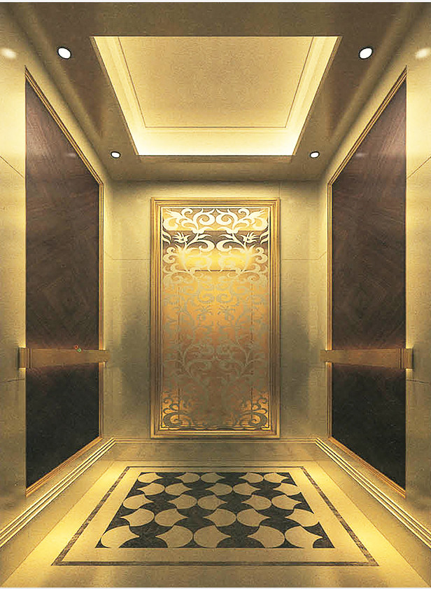 Cheap Price Lift Elevator Passenger Elevator with Monarch Controller