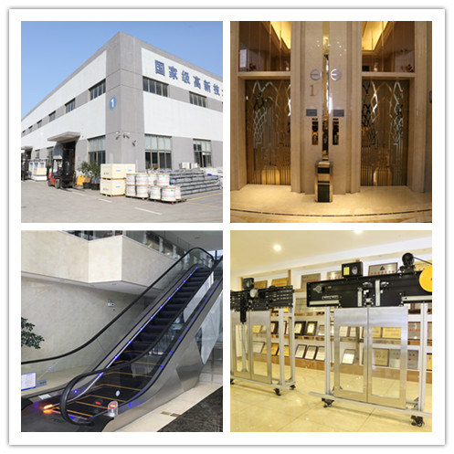 Standard Passenger Elevator Home Lift From Chinese Manufacture
