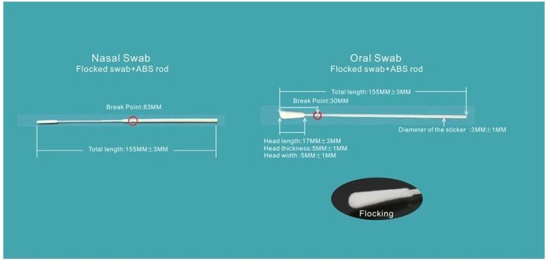 Oral Nasal Swab Kit with Vtm for Virus Sample Collection Kit