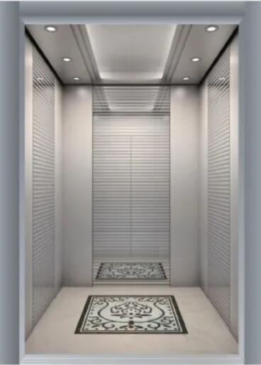2020 Resident Indoor Small Villa elevator and lift Homes
