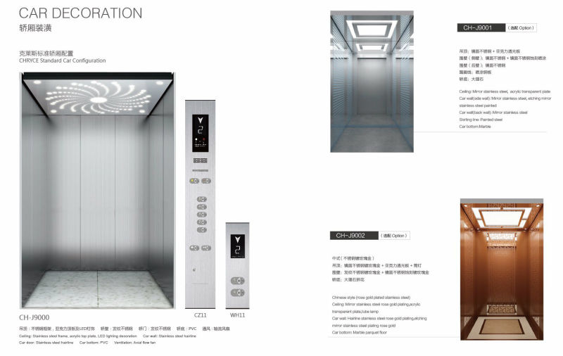 Customized Household Elevators Manned Elevator Passenger Lifts
