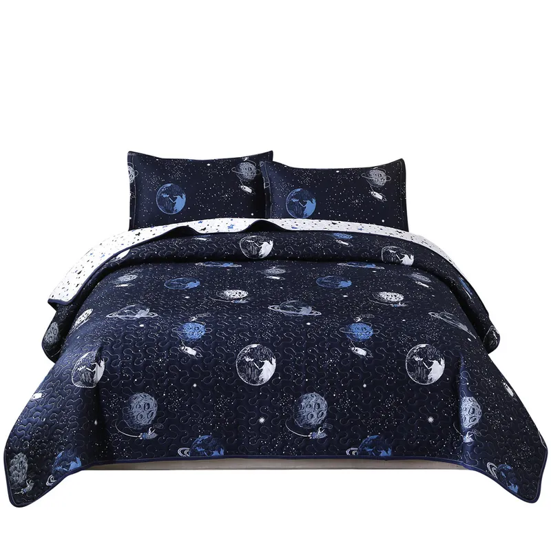 Queen Printed Patchwork Microfiber Quilted Bedspread Coverlet Bedding Sets