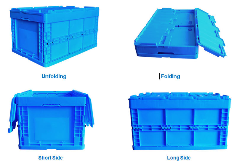 Plastic Foldable Plastic Box Container