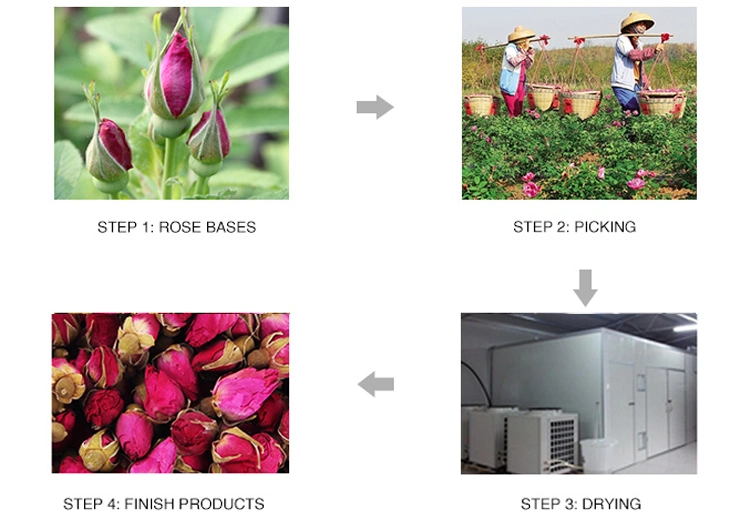 Flower Tea Rose Buds/Top Quality Herbal Tea Rose Buds