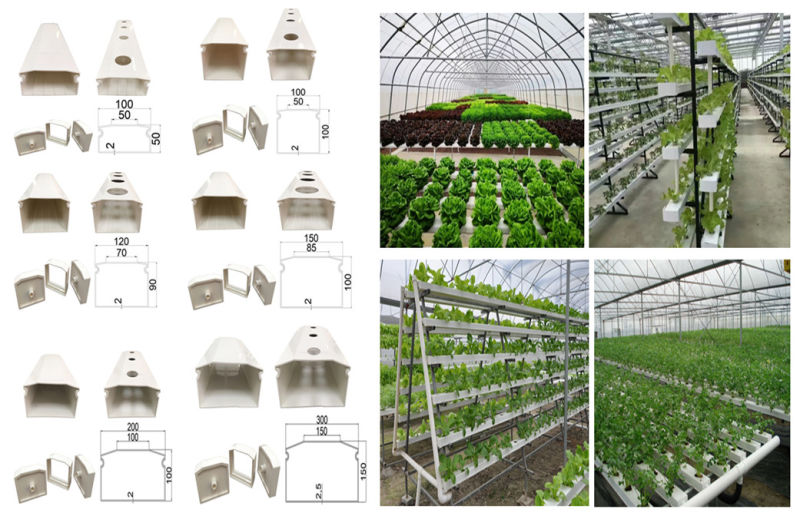 Growth Trough in Nft Hydroponics System/Vertical Farm/Soilless Culture