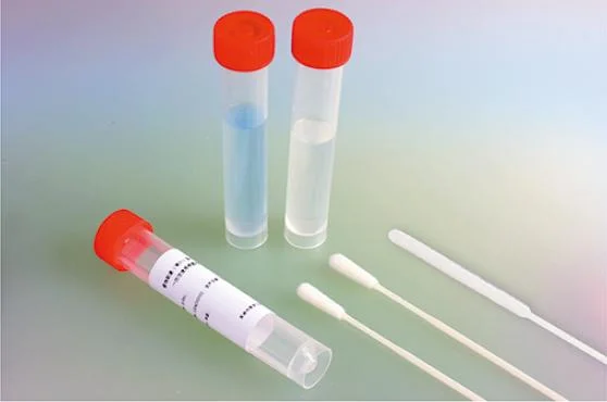 Medical Long Plastic Stick Nylon Flocked Saliva DNA Sample Collection Sterile Throat Nose Swab Test