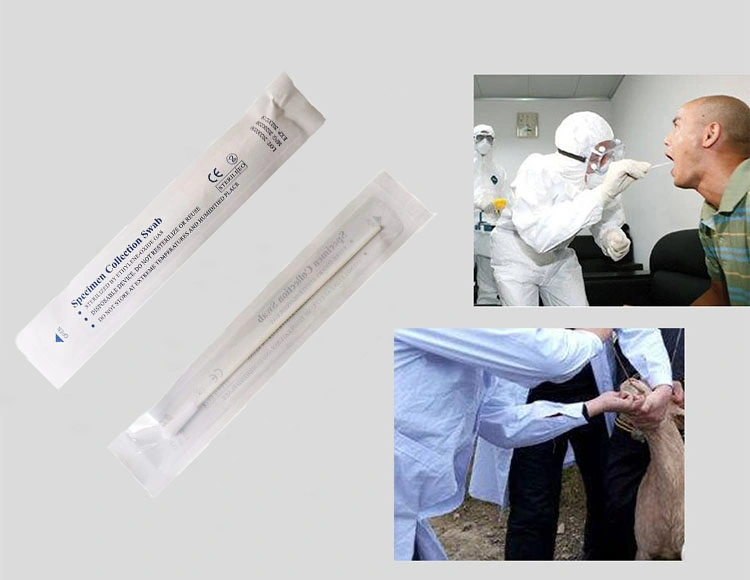 FDA Approved Nylon Flocked Specimen Collection Oropharyngeal Swab with Serum