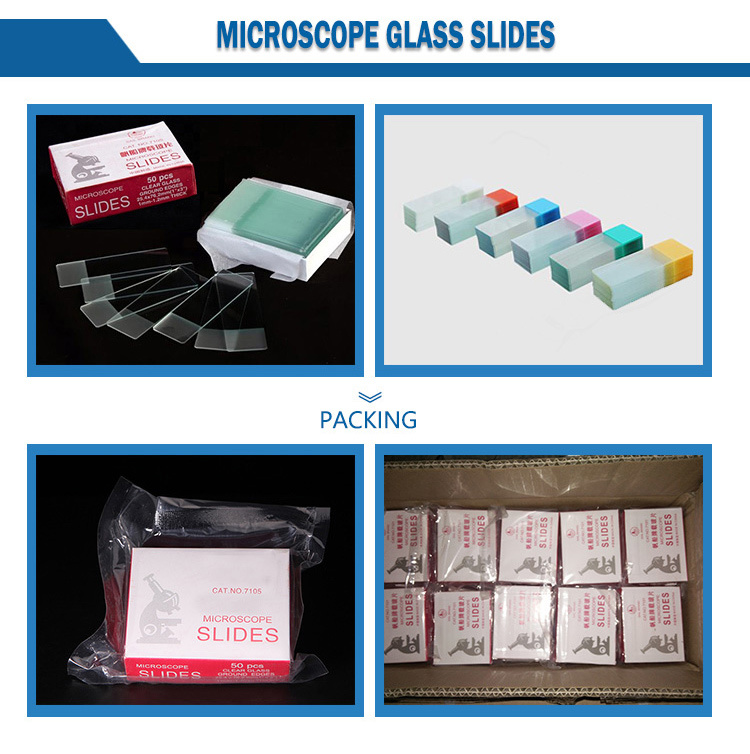 Free Sample Plastic Sterile Disposable Medical Female Urine Container