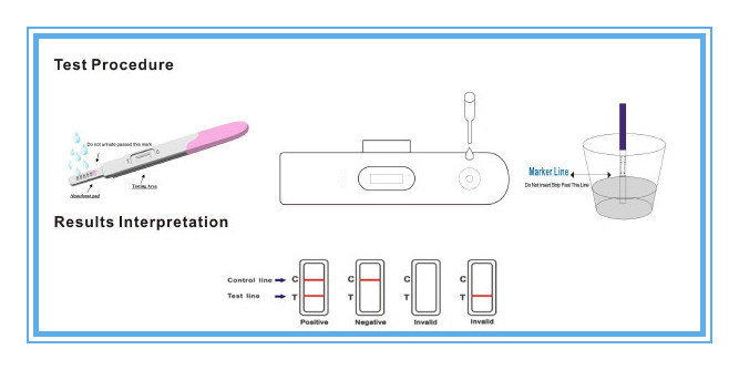 HCG Pregnancy Rapid Test Kit/Urine Pregnancy Test Strip