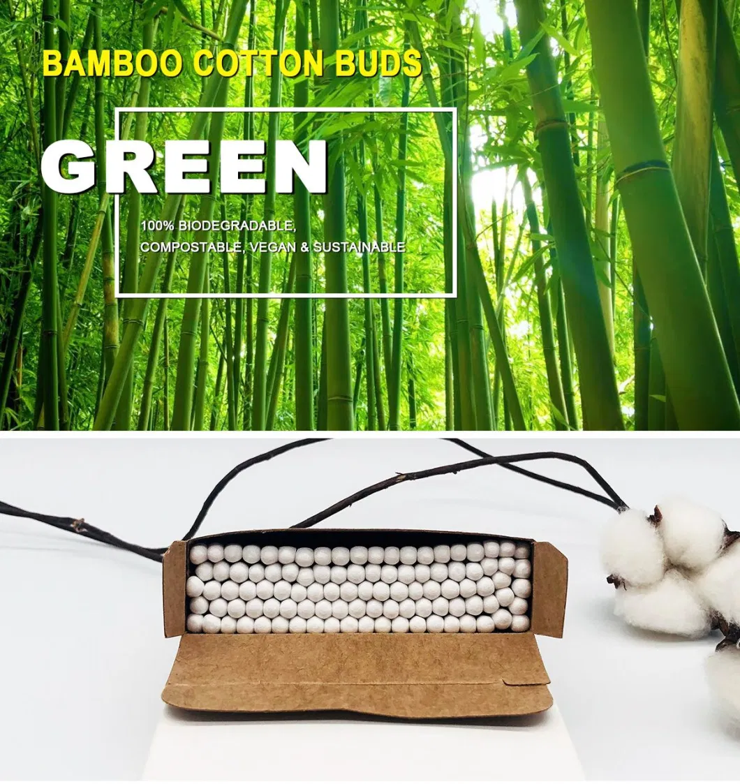 Bamboo Cotton Buds Compostable & Biodegradable Eco Friendly Swabs Plastic Free Sustainable Materials