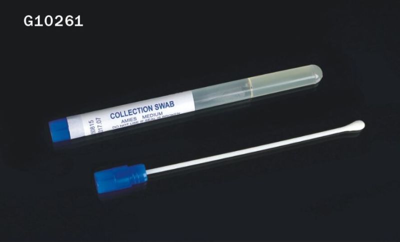 Cotton Swab Sterile Swab Sampling Wound and Skin Swabs