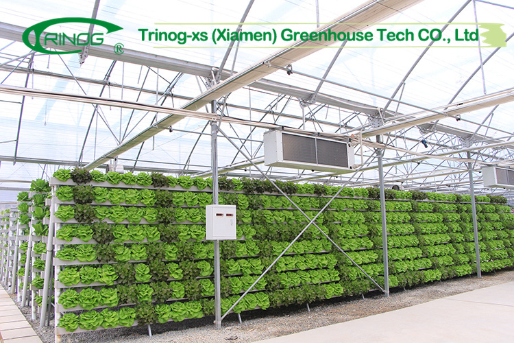 Cultivation Hydroponics System Greenhouse Covering Films for Plant Growth