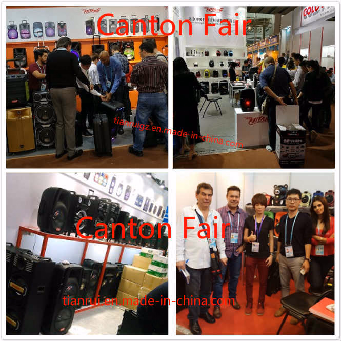 New Big Power Active Outdoors Portable Trolley Auodio Speaker Box Party Outdoors