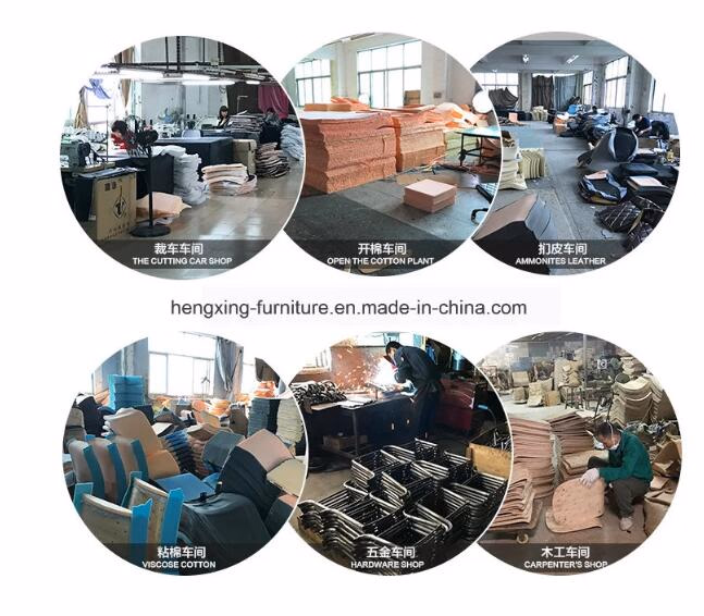 Modern Middle Back Hot Selling School Office Swivel Chairs