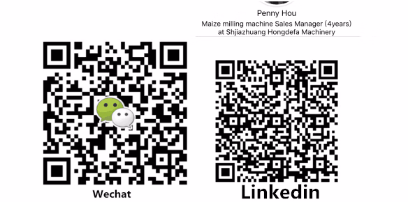 Maize Flour Mill /Corn Flour Mill/Flour Milling Machine