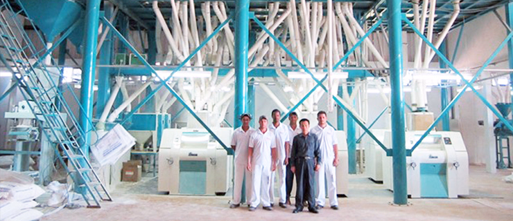 Factory Price Wheat Flour Mill Machine Flour Mill Flour Milling Machine