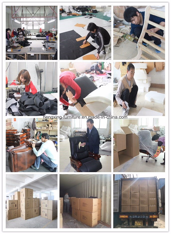 Modern Middle Back Hot Selling School Office Swivel Chairs