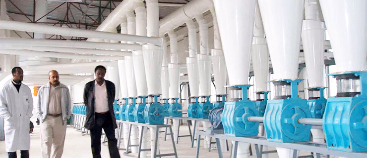 Factory Price Wheat Flour Mill Machine Flour Mill Flour Milling Machine