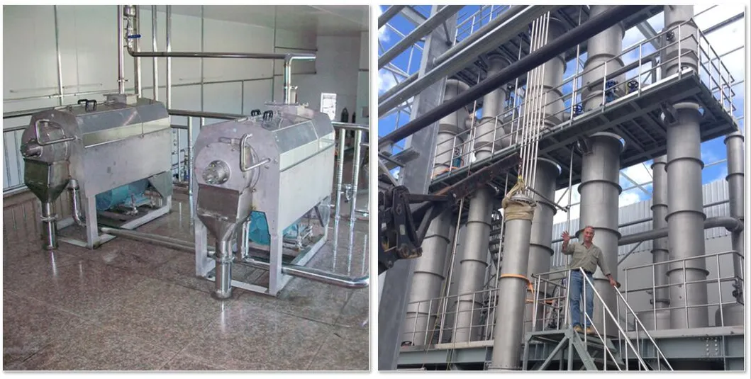 Orange Processing Line Citrus Processing Line Grape Fruit Processing Line