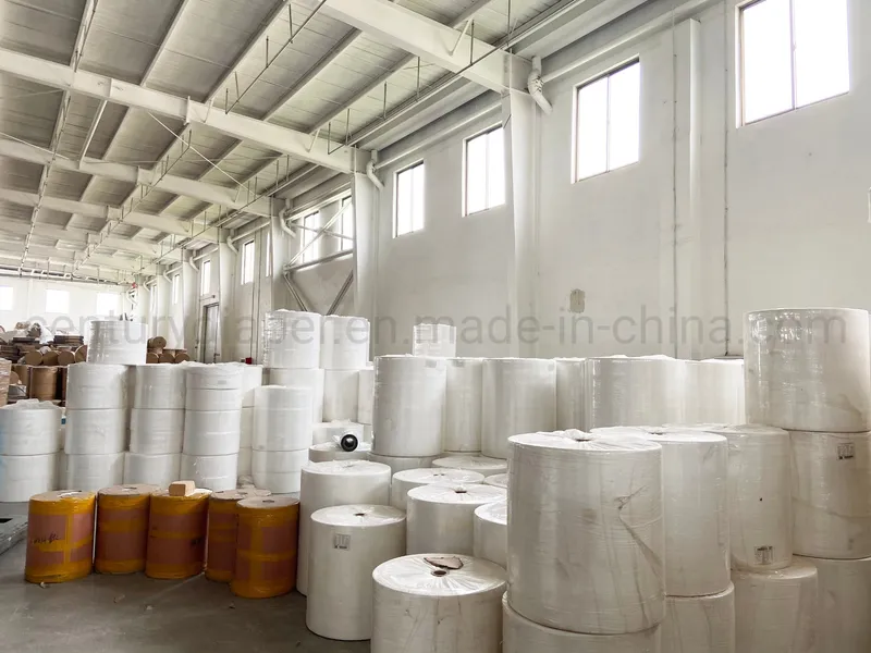 Professional Production Hydrophilic Cotton Spunlace Nonwoven Fabric for Home Textile