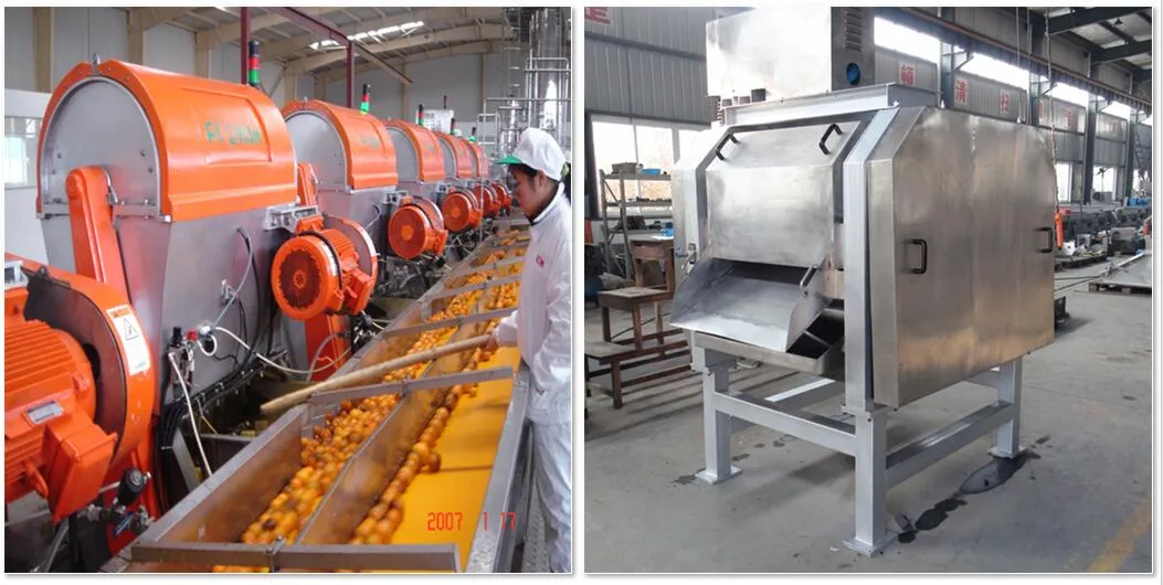 Orange Processing Line Citrus Processing Line Grape Fruit Processing Line