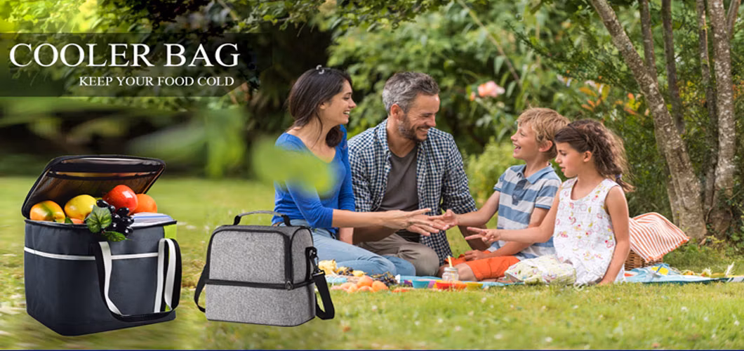 New Design Insulated Eco Girls Lunch Bag for Office