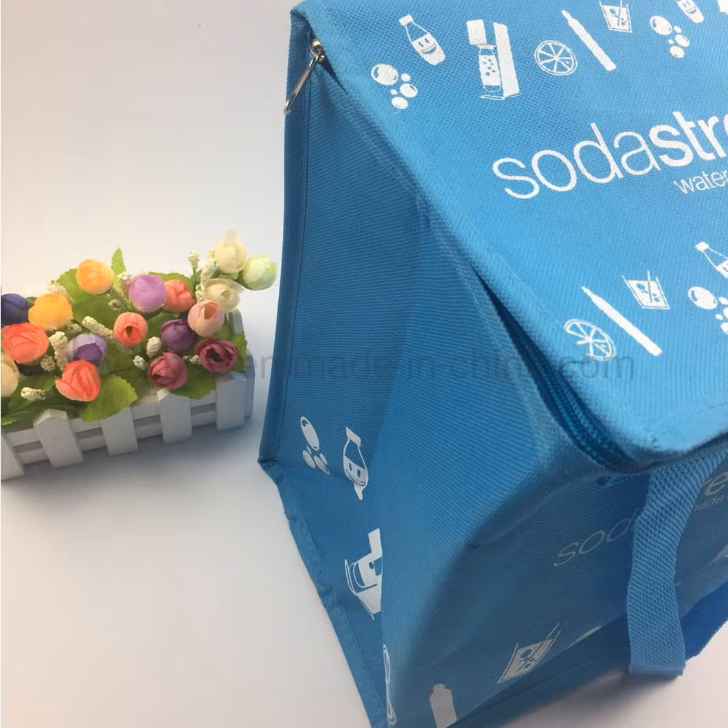 New Design Insulated Eco Girls Lunch Bag for Office