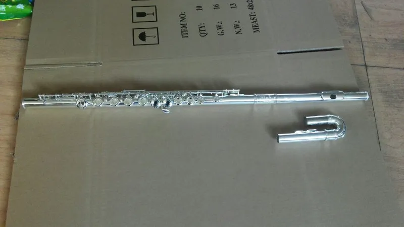 Double Head Flute/ Beginner Flute /Hot Sale Wholeesale Flute