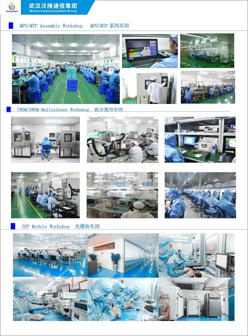 Fiber Optic Equipment 10GB Multimode Singlemode Sm/mm/Om3 MTP MPO Optical Fiber Patch Cord