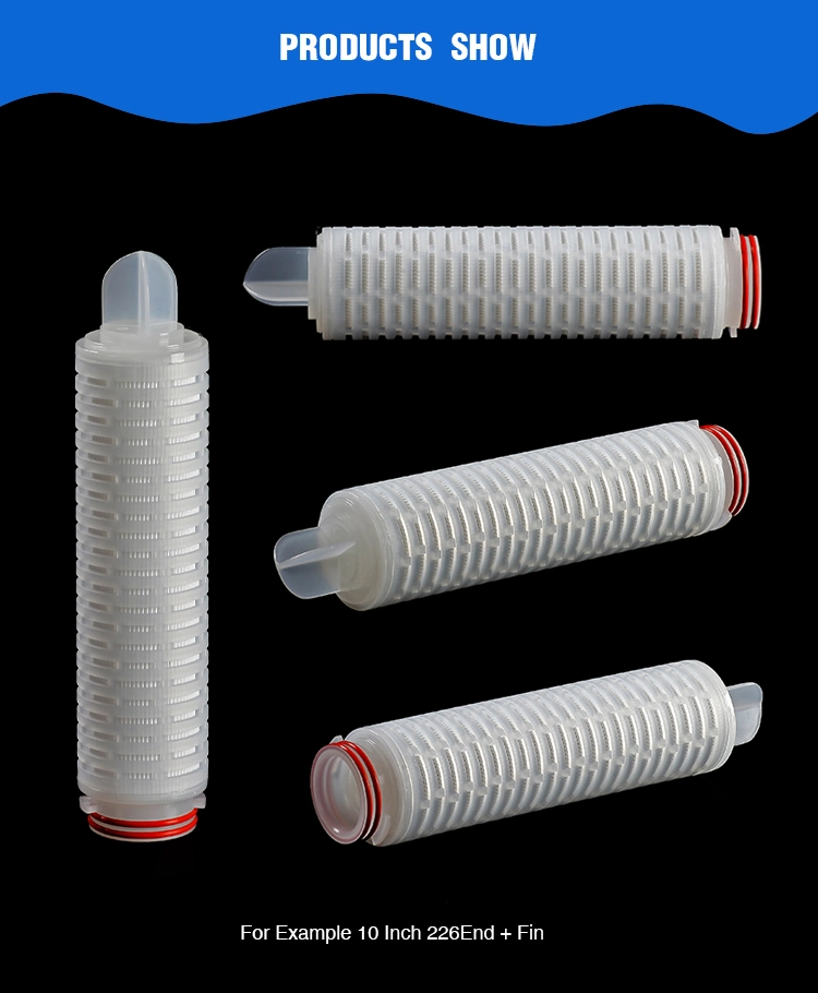 Darlly 10 Inch Hydrophilic PTFE Membrane Micron Pleated 0.1um 0.22um 0.45um Filter Cartridge