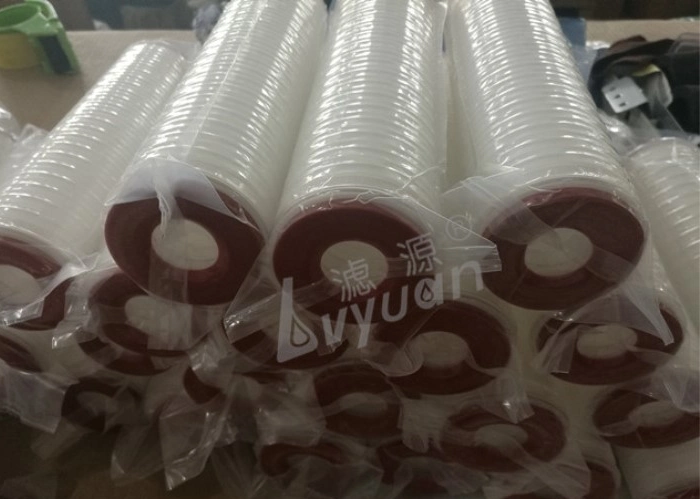 PP Membrane 0.22 0.45 Micron Pleated Sediment Water Filter for Ss Water Filter Housing Replacement