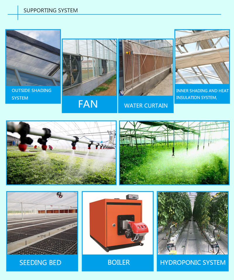 80 100 120 Micron UV Resistant Greenhouse for Vegetable