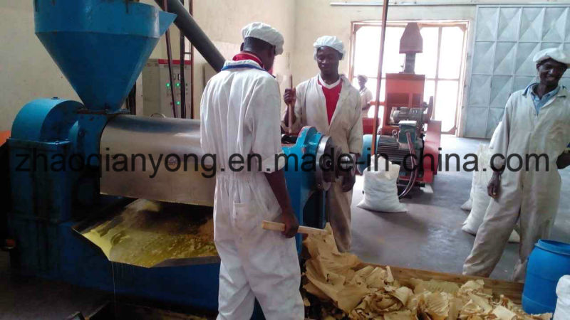 Cooking Oil Press Soybean, Coconut, Peanut Oil Pressing Machine