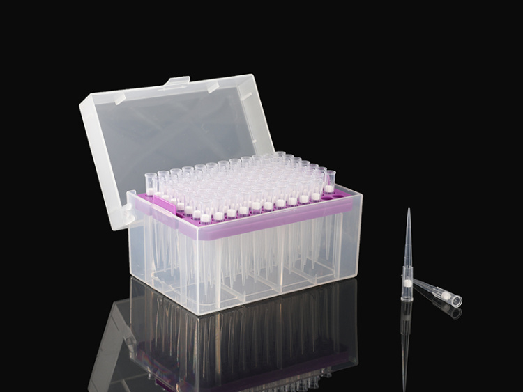 Various Micro Filter Transfer Pipette Tips with Filter for Lab