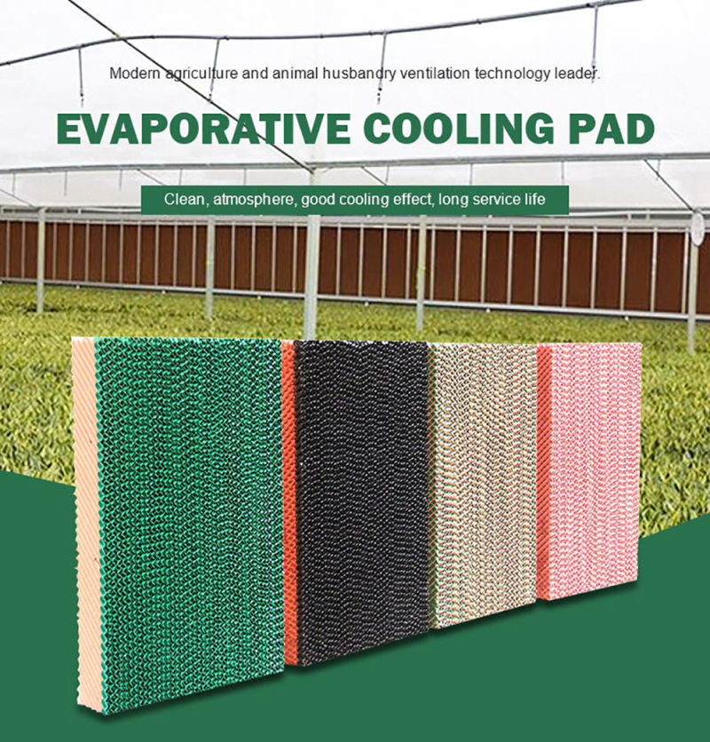 Greenhouse Cooling System Evaporative Cellulose Kraft Paper Cooling Pad