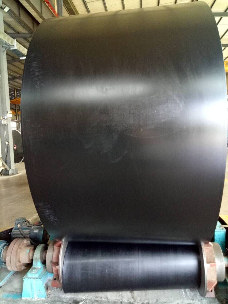 Good Quality Chemical Acid Resistant Conveyor Belt