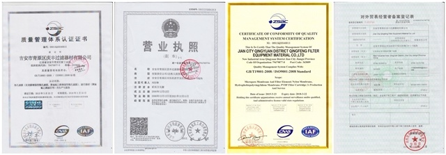 Hydrophobic and Oleophobic PTFE Filter Membrane for Air Filtration